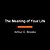 The Meaning Of Your Life: Finding Purpose In An Age Of Emptiness-.. - Imagem 1
