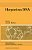 Herpesvirus Dna: Recent Studies On The Organization Of Viral Genomes, Mrna Transcription, Dna Replication, Defective Dna, And Viral Dna Sequences In T-.. - Imagem 1