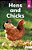 Hens And Chicks-.. - Imagem 1