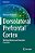 Dorsolateral Prefrontal Cortex: Working Memory And Executive Functions-.. - Imagem 1