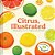 Citrus, Illustrated: A Cookbook Of 35 Sweet & Savory Recipes-.. - Imagem 1