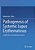 Pathogenesis Of Systemic Lupus Erythematosus: Insights From Translational Research-.. - Imagem 1