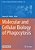 Molecular And Cellular Biology Of Phagocytosis-.. - Imagem 1