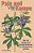 Pain And Kampo: The Use Of Japanese Herbal Medicine In Management Of Pain-.. - Imagem 1