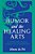 Humor And The Healing Arts: A Multimethod Analysis Of Humor Use In Health Care-.. - Imagem 1