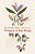 60 Devotions Inspired By Women Of The Bible: How These Extraordinary Women Teach You To Walk With God In Your Own Unique Story-.. - Imagem 1