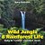 Wild Jungle & Rainforest Life- Baby & Toddler Alphabet Book-.. - Imagem 1