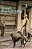 Street Photography: From Brassai To Cartier-Bresson-.. - Imagem 1