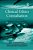 Clinical Ethics Consultation: Theories And Methods, Implementation, Evaluation-.. - Imagem 1