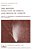 The Motion, Evolution Of Orbits, And Origin Of Comets-.. - Imagem 1