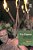Pop Pagans: Paganism And Popular Music-.. - Imagem 1