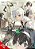 Bungo Stray Dogs: The Official Comic Anthology, Vol. 6-.. - Imagem 1