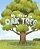 My Life As An Oak Tree-.. - Imagem 1