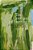The Question Of Painting: Rethinking Thought With Merleau-Ponty-.. - Imagem 1