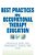 Best Practices In Occupational Therapy Education-.. - Imagem 1
