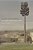 Literature And The Telephone: Conversations On Poetics, Politics And Place-.. - Imagem 1