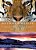 Destination Wildlife: An International Site-By-site Guide To The Best Places To Experience Endangered, Rare, And Fascinating Animals And Their Habitat-.. - Imagem 1