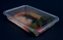 Pote 1600ml Galvanotek G-300 SF c/ 10un Retangular Pra Levah - Imagem 2