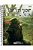 Caderno Esp Univ Cd 10Mat 160FLS Grogu Jandaia - Imagem 1
