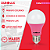 Lâmpada Superled Ouro 60 Colors 7W bivolt Rosa IP66. - Imagem 5