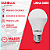 Lâmpada Superled Ouro 4,7W Bivolt 6500K branco frio. - Imagem 5