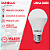Lâmpada Superled Ouro 9W bivolt 6500K branco frio. - Imagem 5