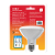 Lâmpada Superled PAR30 9W bivolt 6500K IP65 36º S. - Imagem 2