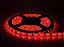 Fita LED 4,8W/M 24W 12V 5 metros IP20 Vermelho. - Imagem 2