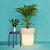 Luminária Cachepot Vaso 50 Externo Ø55x48cm Polietileno Branco. - Imagem 3