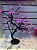Árvore Cerejeira 48 Leds 8f Natal Rosa Bivolt. - Imagem 2