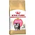 RaÇÃo Royal Canin Kitten Persian Para Gatos Filhotes Da RaÇa Persa 400g - Imagem 1
