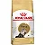 RaÇÃo Royal Canin Persian Para Gatos Adultos Da RaÇa Persa 1,5kg - Imagem 1