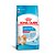 RaÇÃo Seca Royal Canin Mini Indoor Para CÃes Filhotes Porte Pequeno 2,5kg - Imagem 1