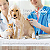 Vet Life Nat Feline Urinary Struvite 2kg - Imagem 6