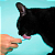 PurÊ Churu Galinha Com Camarao Inaba Para Gatos 56g - Imagem 3