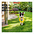 Frisbee Petlon - Verde - Imagem 2