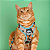 Conjunto Peitoral H Neo Gato U Black - Toh - Imagem 4