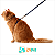 Conjunto Peitoral H De Gato U Basic Marinho - Caqui - Toh - Imagem 3