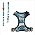 Conjunto Peitoral H Neo Gato U Noronha Toh - Imagem 1