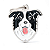 Placa Id Border Collie - Imagem 1