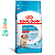 RaÇÃo Seca Royal Canin Medium Puppy Para CÃes Filhotes De Porte MÉdio 12kg - Imagem 1