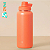 Garrafa Termica Hydrav2 950ml - Pessego - Pacco - Imagem 1