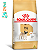 Racao Royal Canin Para Caes Adultos Da Raca Pug 2,5kg - Imagem 1