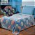 Cobertor Infantil Brilha no Escuro 260g 1,50x2,20m - Shine - Imagem 4