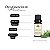 Óleo Essencial Alecrim Puro e Natural 10 ml - Imagem 2