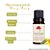 Óleo Essencial Ylang Ylang Puro e Natural 10 ml - Imagem 2