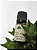 Óleo Essencial Hortelã Pimenta Puro e Natural 10 ml - Imagem 2