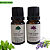 Kit Especial com 2 óleos essenciais 10ml Lavanda e Hortelã Pimenta - Imagem 1