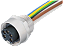 Conector Flange 7/8" Fêmea 5P com Rabicho 50cm 7000-78381-9780050 Murrelektronik - Imagem 1