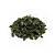 Chá De Folhas De Moringa Oleifera 30g (Moringa Oleifera) - Imagem 1